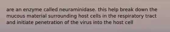 are an enzyme called neuraminidase. this help break down the mucous material surrounding host cells in the respiratory tract and initiate penetration of the virus into the host cell