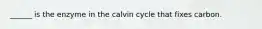 ______ is the enzyme in the calvin cycle that fixes carbon.