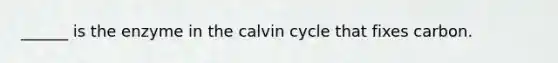 ______ is the enzyme in the calvin cycle that fixes carbon.