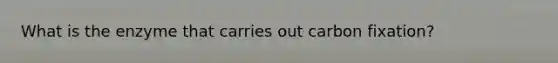 What is the enzyme that carries out carbon fixation?