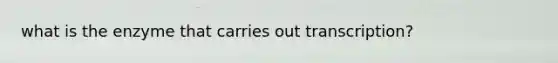 what is the enzyme that carries out transcription?
