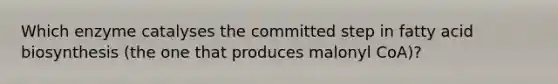 Which enzyme catalyses the committed step in fatty acid biosynthesis (the one that produces malonyl CoA)?