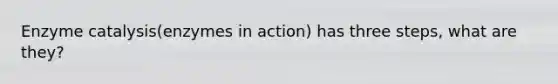 Enzyme catalysis(enzymes in action) has three steps, what are they?
