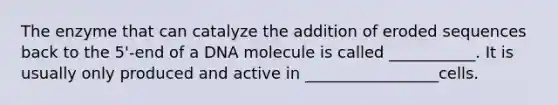 The enzyme that can catalyze the addition of eroded sequences back to the 5'-end of a DNA molecule is called ___________. It is usually only produced and active in _________________cells.