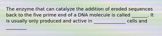 The enzyme that can catalyze the addition of eroded sequences back to the five prime end of a DNA molecule is called _______. It is usually only produced and active in ______________ cells and _________