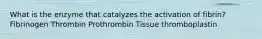 What is the enzyme that catalyzes the activation of fibrin? Fibrinogen Thrombin Prothrombin Tissue thromboplastin