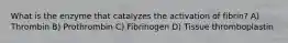 What is the enzyme that catalyzes the activation of fibrin? A) Thrombin B) Prothrombin C) Fibrinogen D) Tissue thromboplastin