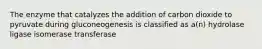 The enzyme that catalyzes the addition of carbon dioxide to pyruvate during gluconeogenesis is classified as a(n) hydrolase ligase isomerase transferase