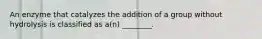 An enzyme that catalyzes the addition of a group without hydrolysis is classified as a(n) ________.