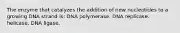 The enzyme that catalyzes the addition of new nucleotides to a growing DNA strand is: DNA polymerase. DNA replicase. helicase. DNA ligase.