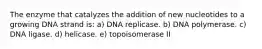 The enzyme that catalyzes the addition of new nucleotides to a growing DNA strand is: a) DNA replicase. b) DNA polymerase. c) DNA ligase. d) helicase. e) topoisomerase II