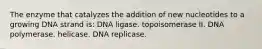 The enzyme that catalyzes the addition of new nucleotides to a growing DNA strand is: DNA ligase. topoisomerase II. DNA polymerase. helicase. DNA replicase.