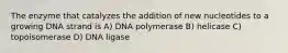 The enzyme that catalyzes the addition of new nucleotides to a growing DNA strand is A) DNA polymerase B) helicase C) topoisomerase D) DNA ligase