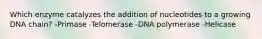 Which enzyme catalyzes the addition of nucleotides to a growing DNA chain? -Primase -Telomerase -DNA polymerase -Helicase