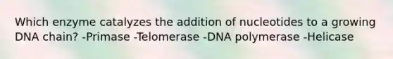 Which enzyme catalyzes the addition of nucleotides to a growing DNA chain? -Primase -Telomerase -DNA polymerase -Helicase