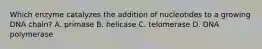 Which enzyme catalyzes the addition of nucleotides to a growing DNA chain? A. primase B. helicase C. telomerase D. DNA polymerase