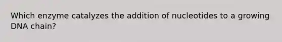 Which enzyme catalyzes the addition of nucleotides to a growing DNA chain?