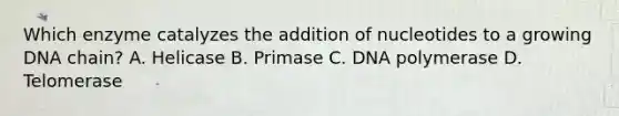 Which enzyme catalyzes the addition of nucleotides to a growing DNA chain? A. Helicase B. Primase C. DNA polymerase D. Telomerase