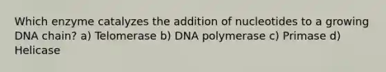 Which enzyme catalyzes the addition of nucleotides to a growing DNA chain? a) Telomerase b) DNA polymerase c) Primase d) Helicase