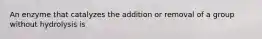 An enzyme that catalyzes the addition or removal of a group without hydrolysis is