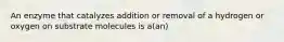 An enzyme that catalyzes addition or removal of a hydrogen or oxygen on substrate molecules is a(an)