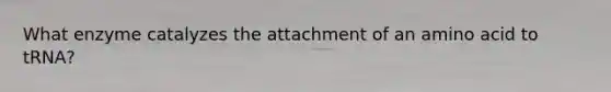 What enzyme catalyzes the attachment of an amino acid to tRNA?