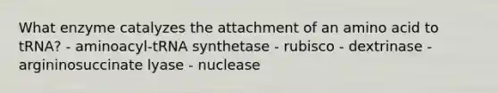 What enzyme catalyzes the attachment of an amino acid to tRNA? - aminoacyl-tRNA synthetase - rubisco - dextrinase - argininosuccinate lyase - nuclease