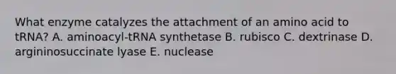 What enzyme catalyzes the attachment of an amino acid to tRNA? A. aminoacyl-tRNA synthetase B. rubisco C. dextrinase D. argininosuccinate lyase E. nuclease