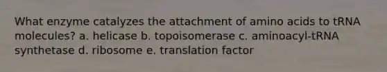 What enzyme catalyzes the attachment of amino acids to tRNA molecules? a. helicase b. topoisomerase c. aminoacyl-tRNA synthetase d. ribosome e. translation factor