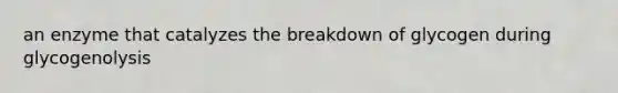 an enzyme that catalyzes the breakdown of glycogen during glycogenolysis