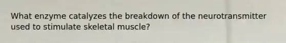 What enzyme catalyzes the breakdown of the neurotransmitter used to stimulate skeletal muscle?