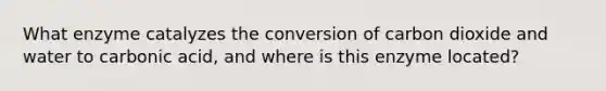 What enzyme catalyzes the conversion of carbon dioxide and water to carbonic acid, and where is this enzyme located?