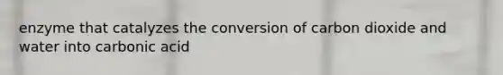 enzyme that catalyzes the conversion of carbon dioxide and water into carbonic acid