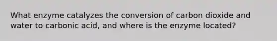 What enzyme catalyzes the conversion of carbon dioxide and water to carbonic acid, and where is the enzyme located?
