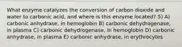 What enzyme catalyzes the conversion of carbon dioxide and water to carbonic acid, and where is this enzyme located? 5) A) carbonic anhydrase, in hemoglobin B) carbonic dehydrogenase, in plasma C) carbonic dehydrogenase, in hemoglobin D) carbonic anhydrase, in plasma E) carbonic anhydrase, in erythrocytes