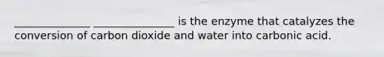 ______________ _______________ is the enzyme that catalyzes the conversion of carbon dioxide and water into carbonic acid.