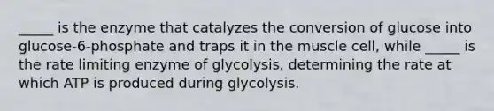 _____ is the enzyme that catalyzes the conversion of glucose into glucose-6-phosphate and traps it in the muscle cell, while _____ is the rate limiting enzyme of glycolysis, determining the rate at which ATP is produced during glycolysis.