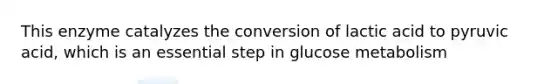 This enzyme catalyzes the conversion of lactic acid to pyruvic acid, which is an essential step in glucose metabolism