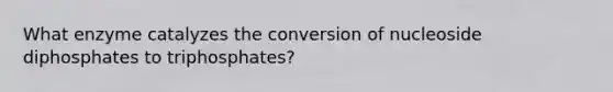 What enzyme catalyzes the conversion of nucleoside diphosphates to triphosphates?