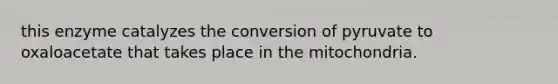this enzyme catalyzes the conversion of pyruvate to oxaloacetate that takes place in the mitochondria.