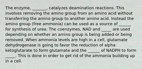 The enzyme, _______, catalyzes deamination reactions. This involves removing the amino group from an amino acid without transferring the amino group to another amino acid. Instead the amino group (free ammonia) can be used as a source of ______ for synthesis of urea. The coenzymes, NAD and _____ are used depending on whether an amino group is being added or being removed. When ammonia levels are high in a cell, glutamate dehydrogenase is going to favor the reduction of alpha ketoglutarate to form glutamate and the ______ of NADPH to form _____. This is done in order to get rid of the ammonia building up in a cell.