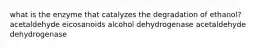 what is the enzyme that catalyzes the degradation of ethanol? acetaldehyde eicosanoids alcohol dehydrogenase acetaldehyde dehydrogenase