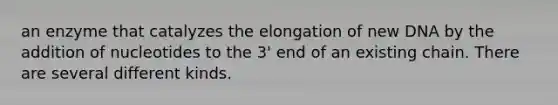 an enzyme that catalyzes the elongation of new DNA by the addition of nucleotides to the 3' end of an existing chain. There are several different kinds.