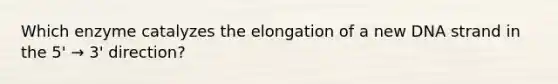 Which enzyme catalyzes the elongation of a new DNA strand in the 5' → 3' direction?