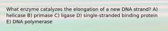 What enzyme catalyzes the elongation of a new DNA strand? A) helicase B) primase C) ligase D) single-stranded binding protein E) DNA polymerase