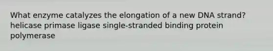 What enzyme catalyzes the elongation of a new DNA strand? helicase primase ligase single-stranded binding protein polymerase