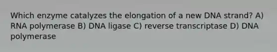 Which enzyme catalyzes the elongation of a new DNA strand? A) RNA polymerase B) DNA ligase C) reverse transcriptase D) DNA polymerase