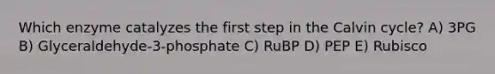 Which enzyme catalyzes the first step in the Calvin cycle? A) 3PG B) Glyceraldehyde-3-phosphate C) RuBP D) PEP E) Rubisco