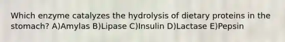 Which enzyme catalyzes the hydrolysis of dietary proteins in the stomach? A)Amylas B)Lipase C)Insulin D)Lactase E)Pepsin