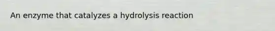 An enzyme that catalyzes a hydrolysis reaction